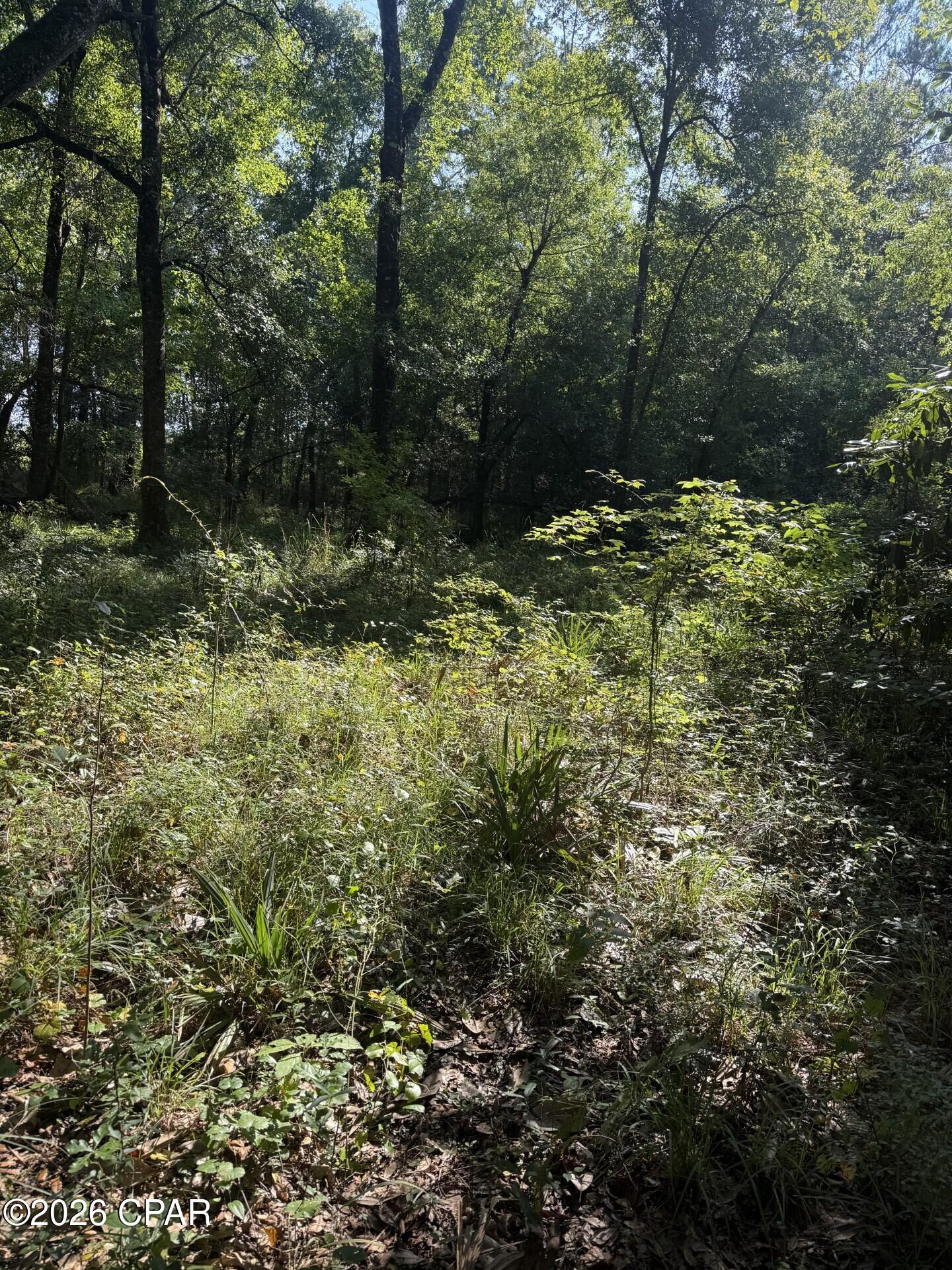 0 Jacob Road Marianna, FL 32446 - Photo 14 of 18 Gallery Image 14