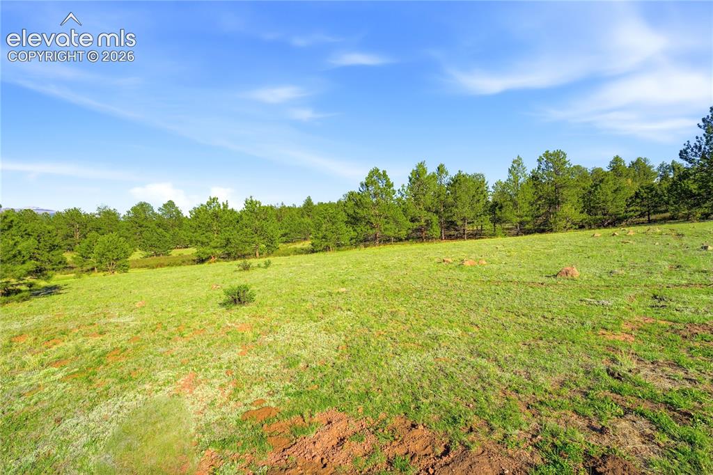 Doe Valley Road Guffey, CO 80820 - Photo 1 of 19