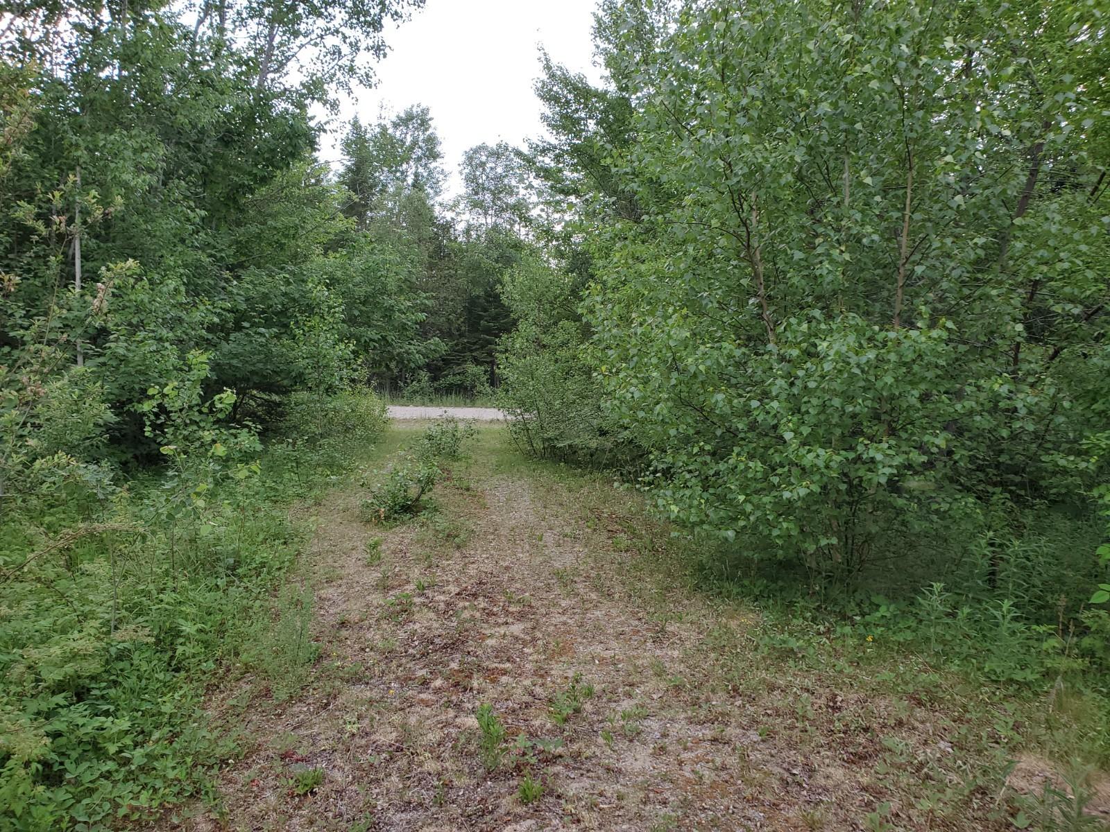 Lot E Butterfield Ridge Road Lincoln, ME 04457 - Photo 6 of 7 20200624_150122 (1)