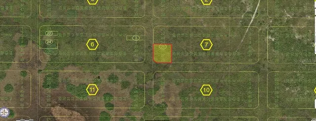 $29,000 | Palmetto Avenue, Kenansville, FL 34739