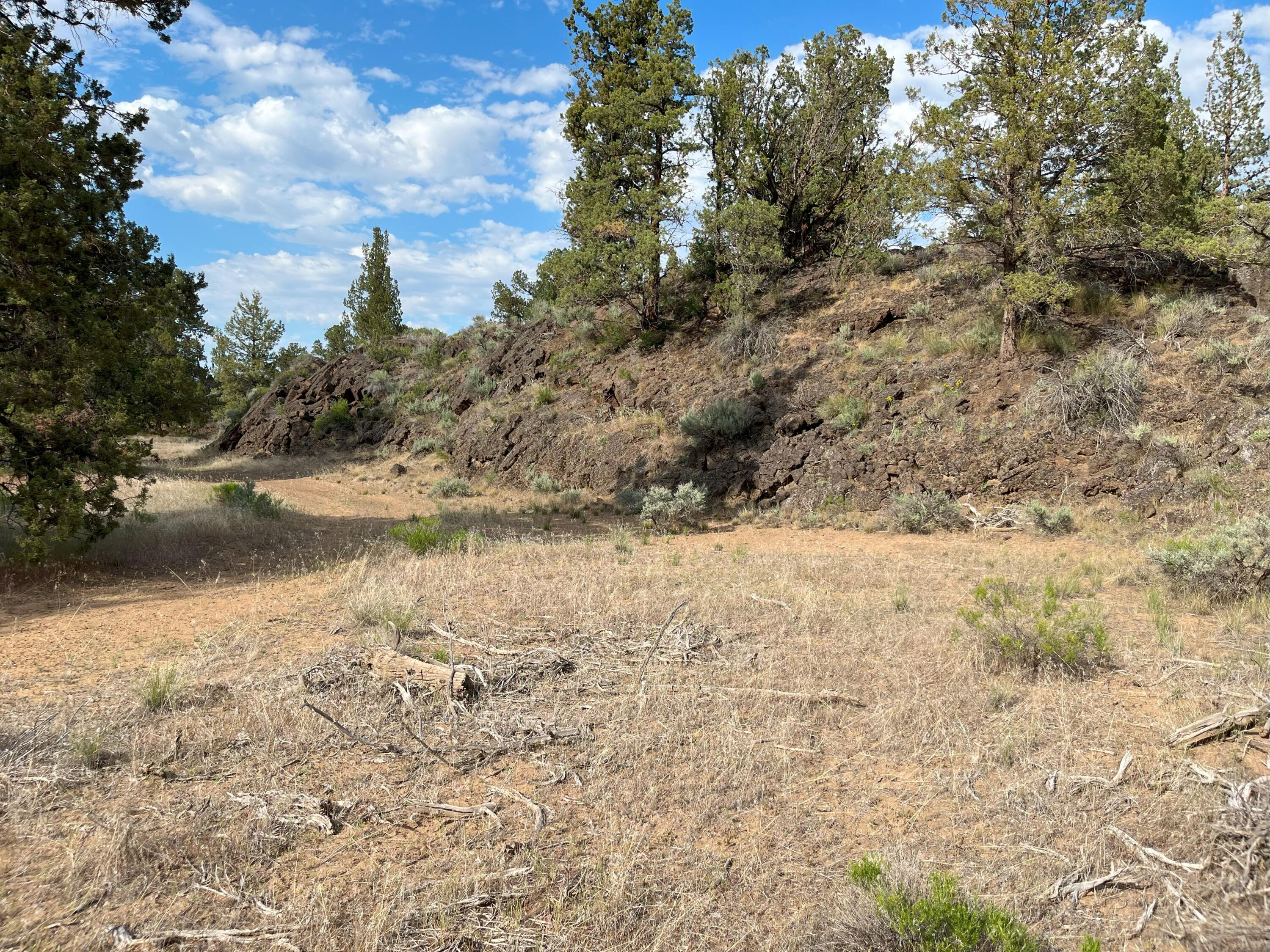 16162 Southwest Quail Road Terrebonne, OR 97760 - Photo 29 of 38 IMG_6788