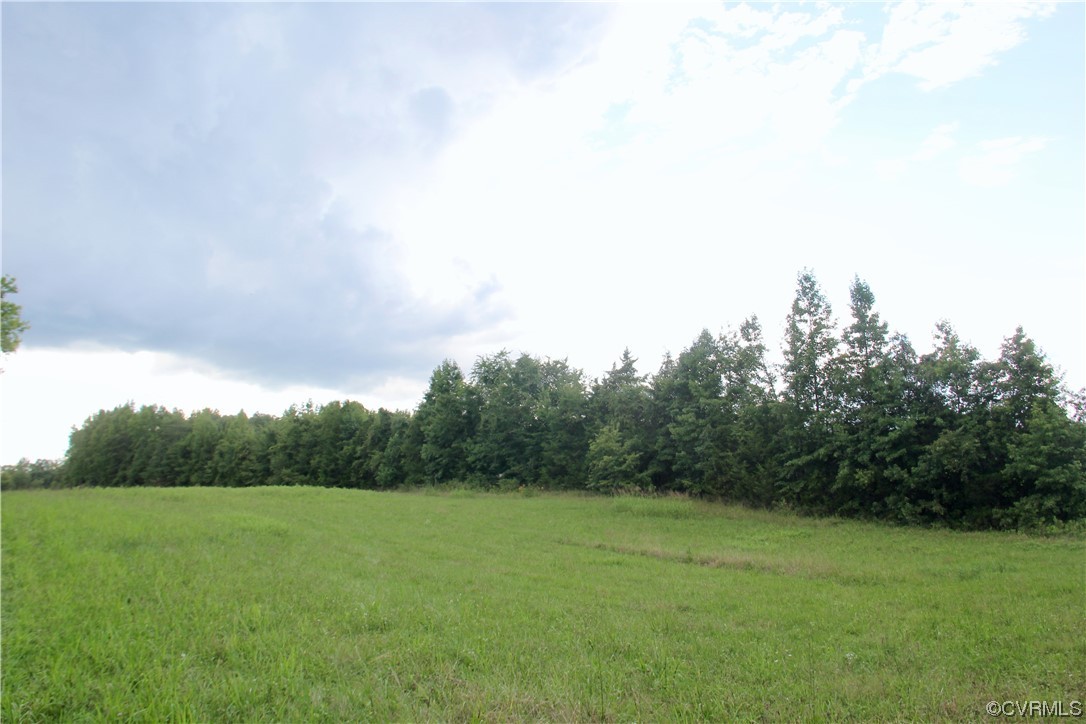 132 Carter Road Cumberland, VA 23040 - Photo 13 of 45 a view of a big yard with a large tree