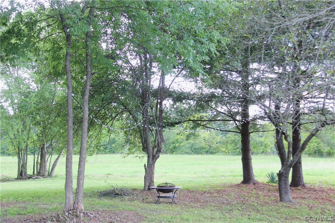 132 Carter Road Cumberland, VA 23040 - Photo 14 of 45 a view of a trees in a yard