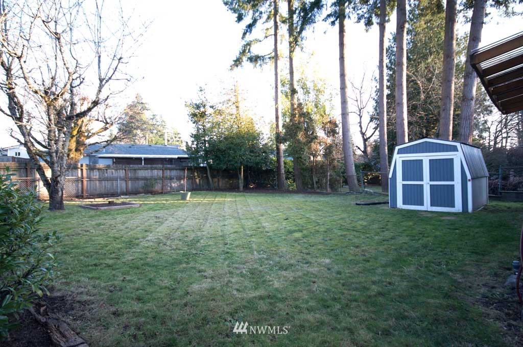 866 Queen Avenue Northeast Renton, WA 98056 - Photo 12 of 15 a view of a backyard with potted plants and large trees