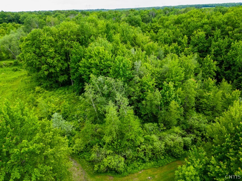 8031 Benson Road Floyd, NY 13354 - Photo 17 of 33