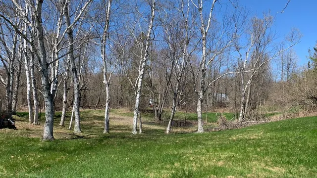 $25,000 | 38 Island Farm Road, Levant, ME 04456