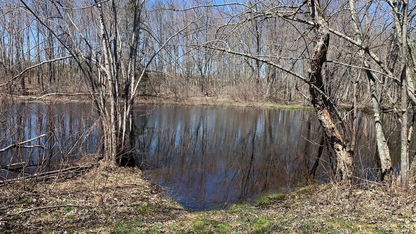 38 Island Farm Road Levant, ME 04456 - Photo 33 of 50 IMG_4451