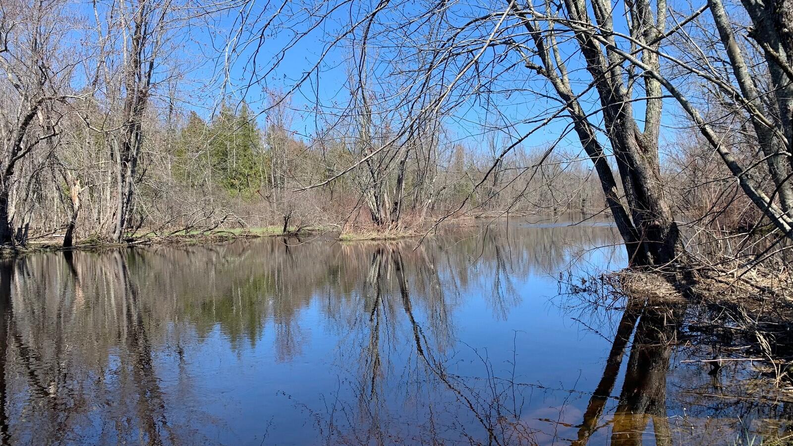 38 Island Farm Road Levant, ME 04456 - Photo 34 of 50 IMG_4452