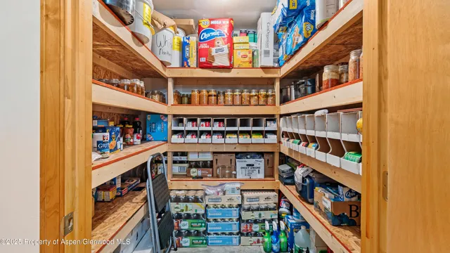 a living room with a couch and a potted plant