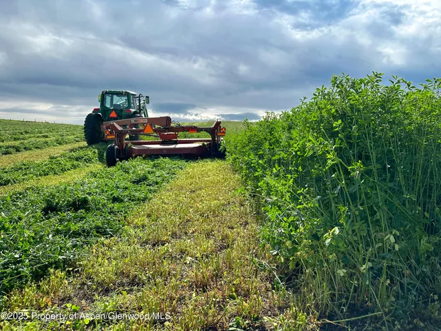 a view of a lake with a yard
