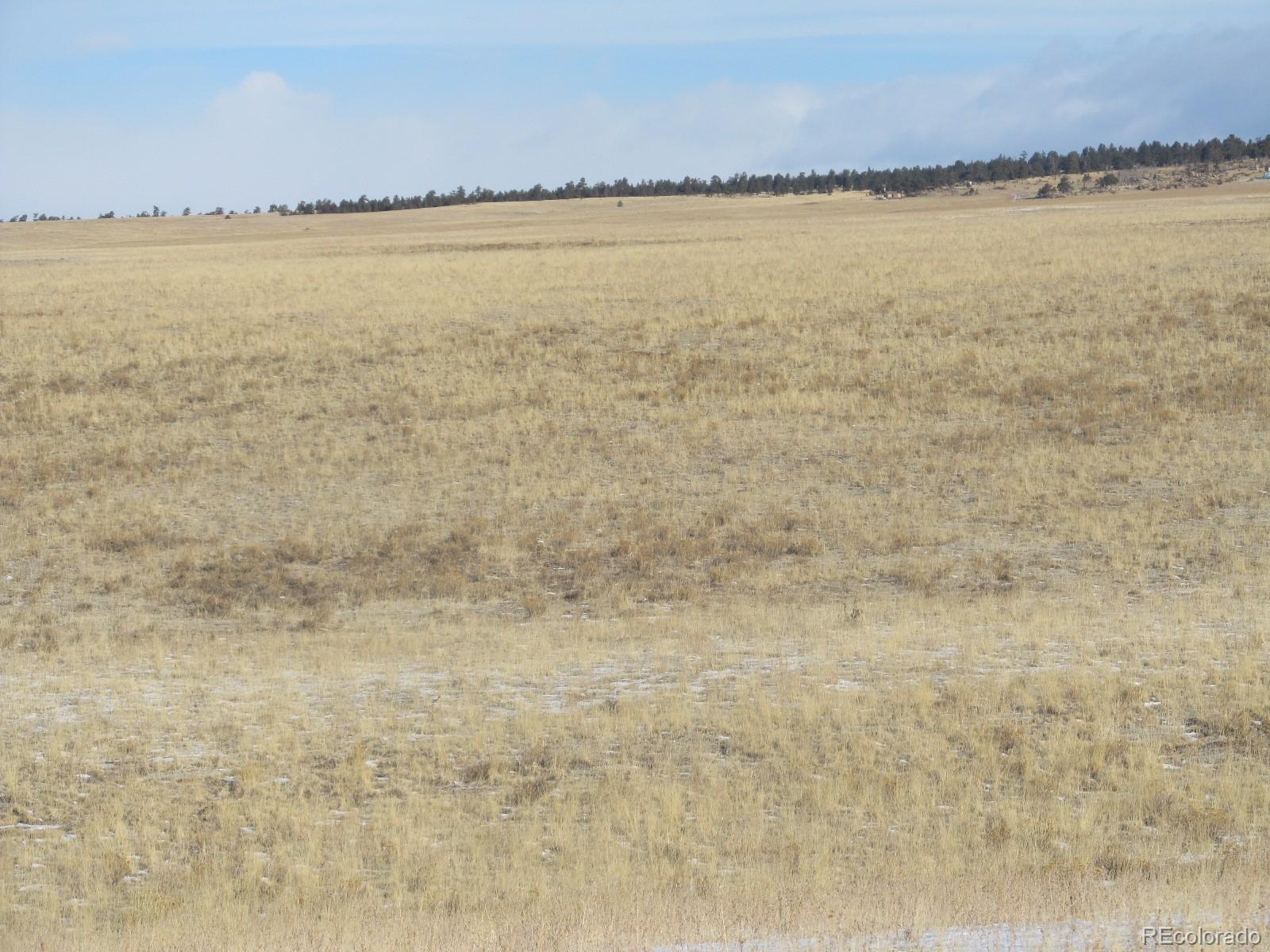 5685 Summit Road Hartsel, CO 80449 - Photo 4 of 5
