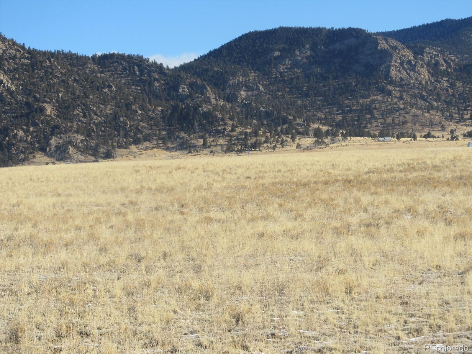 5685 Summit Road Hartsel, CO 80449 - Photo 5 of 5