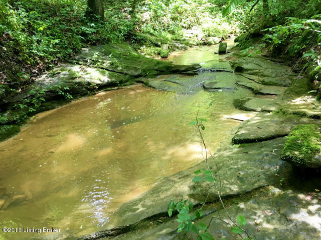2912 Sunbeam Road Leitchfield, KY 42754 - Photo 67 of 90 IMG_4885