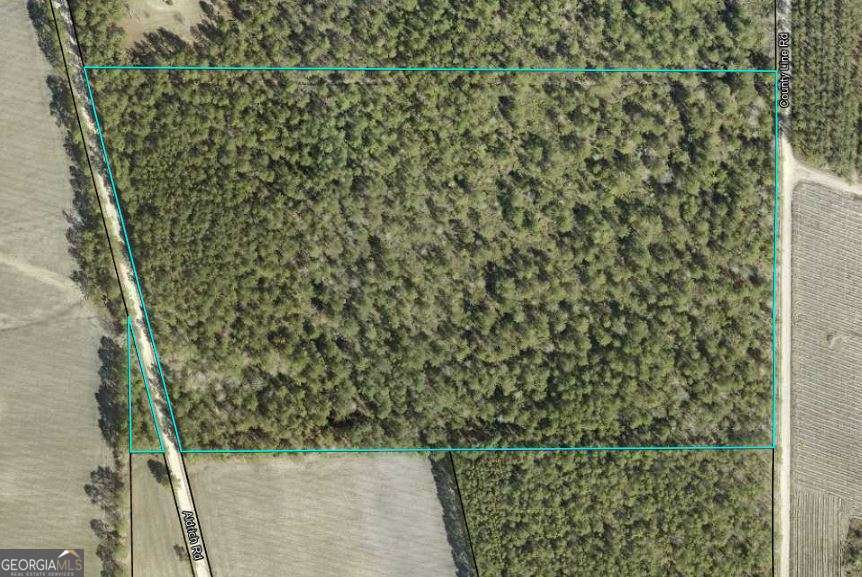 a bathroom with a shower curtain