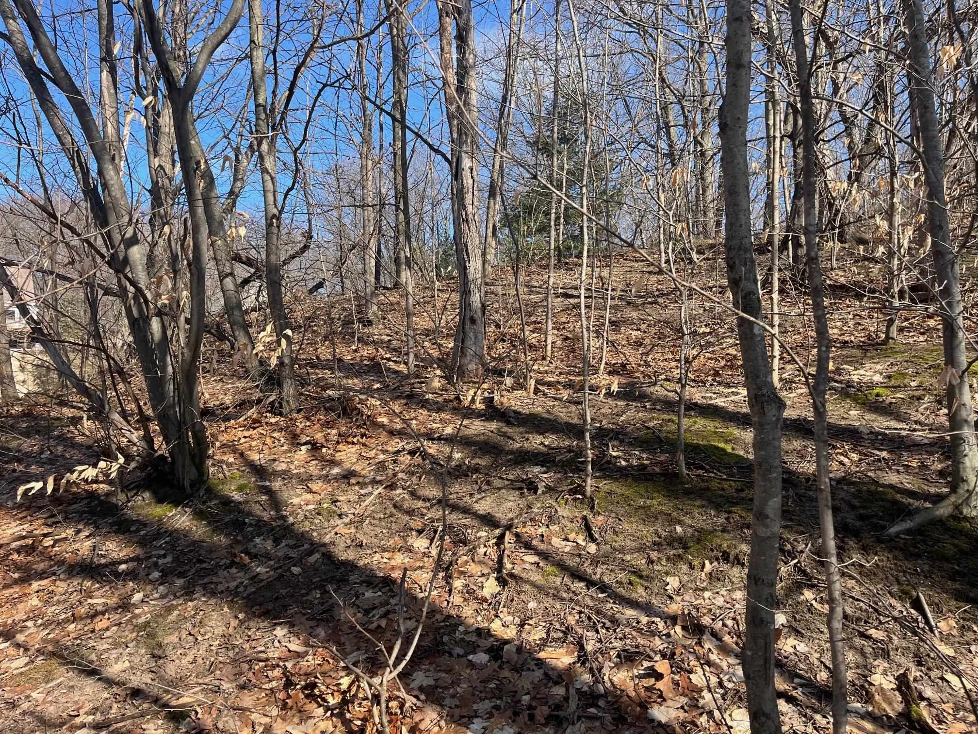 0 South Sugar Loaf Mountain Road Cedar, MI 49621 - Photo 7 of 13 1919258-a231a93e-5260-4cca-a019-c7d028ad9781.JPG
