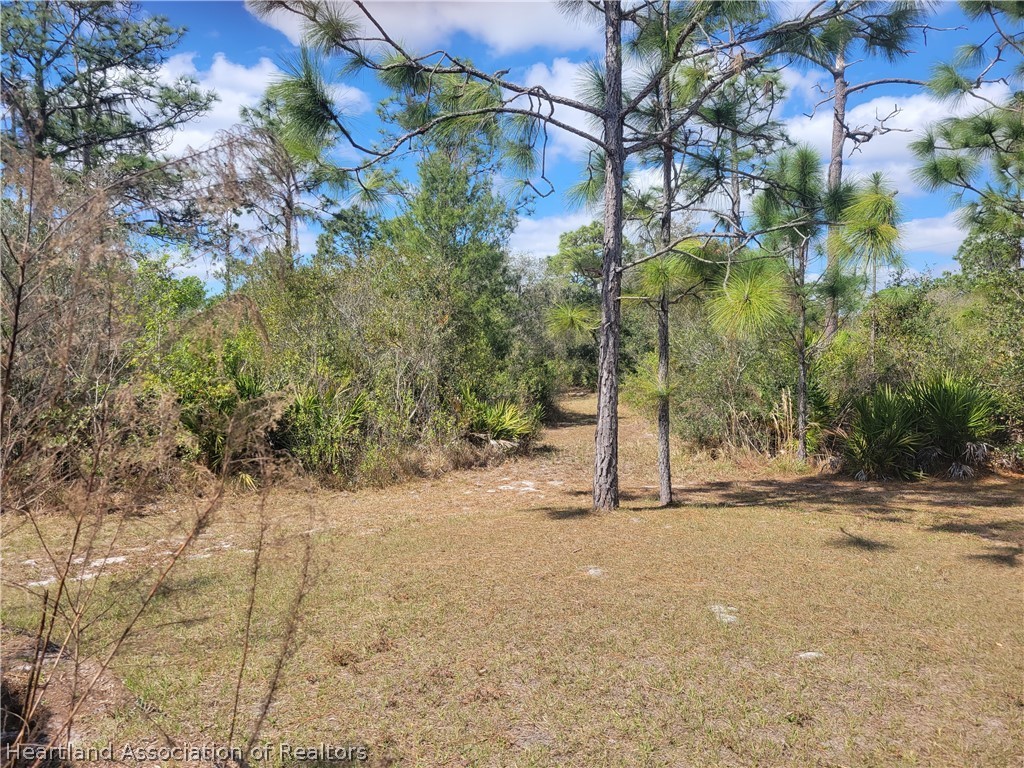 524 Oliver Road Venus, FL 33960 - Photo 20 of 34 Gallery Image 20