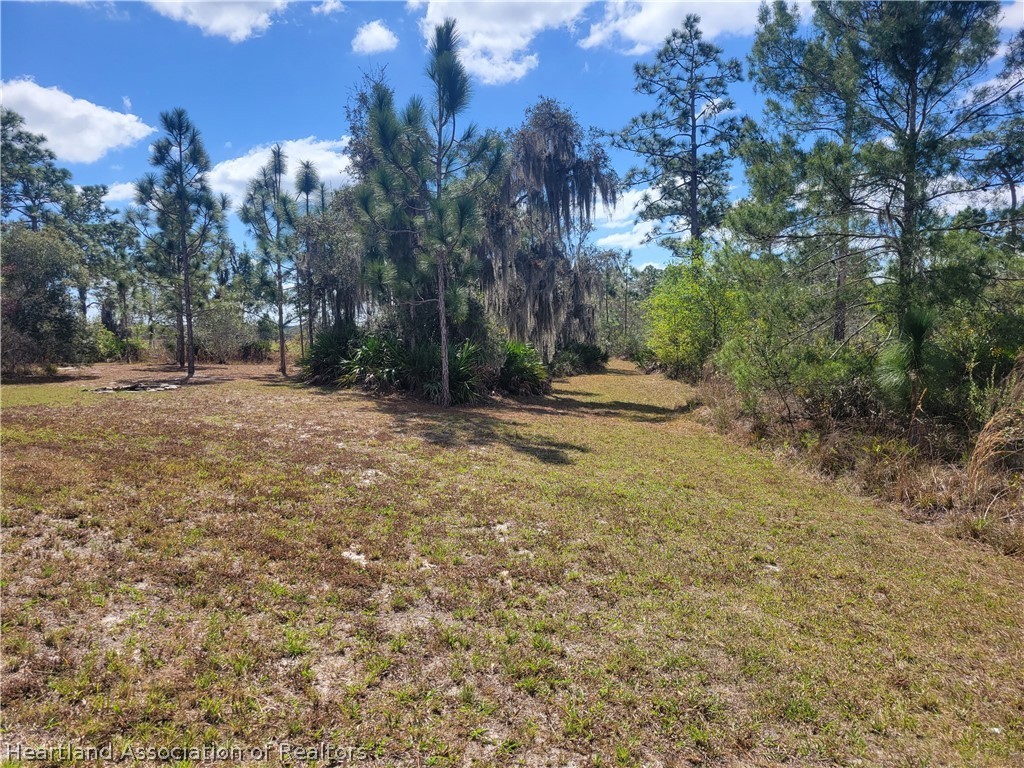 524 Oliver Road Venus, FL 33960 - Photo 21 of 34 Gallery Image 21