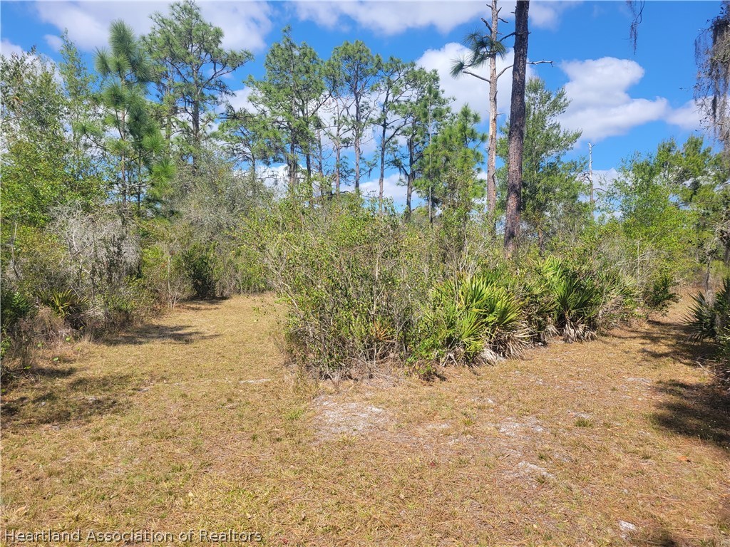524 Oliver Road Venus, FL 33960 - Photo 27 of 34 Gallery Image 27