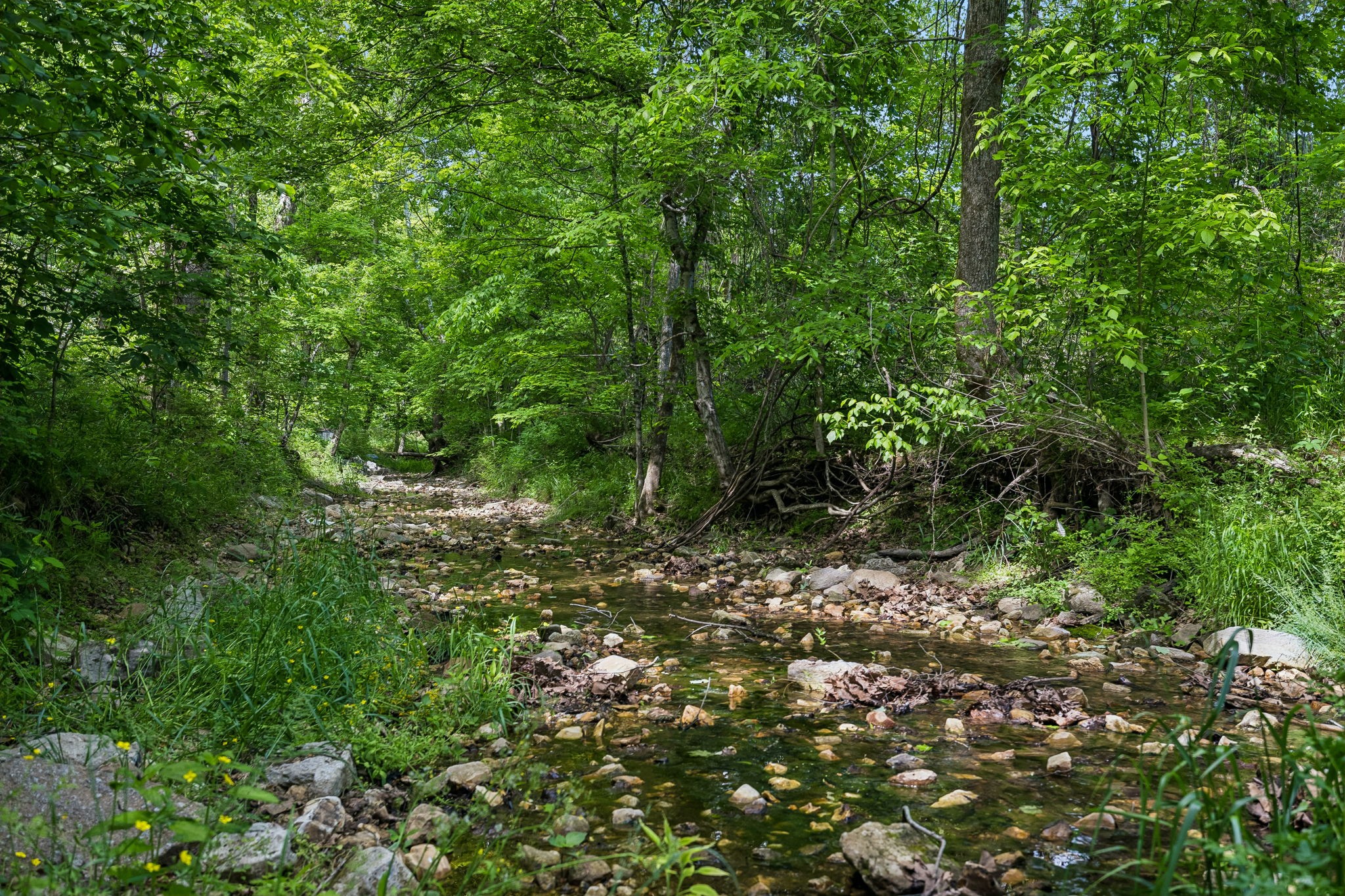1675 Balthrop Branch Road Dickson, TN 37055 - Photo 21 of 72