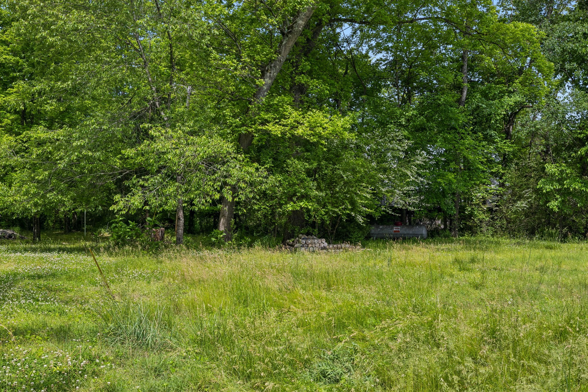 1675 Balthrop Branch Road Dickson, TN 37055 - Photo 24 of 72