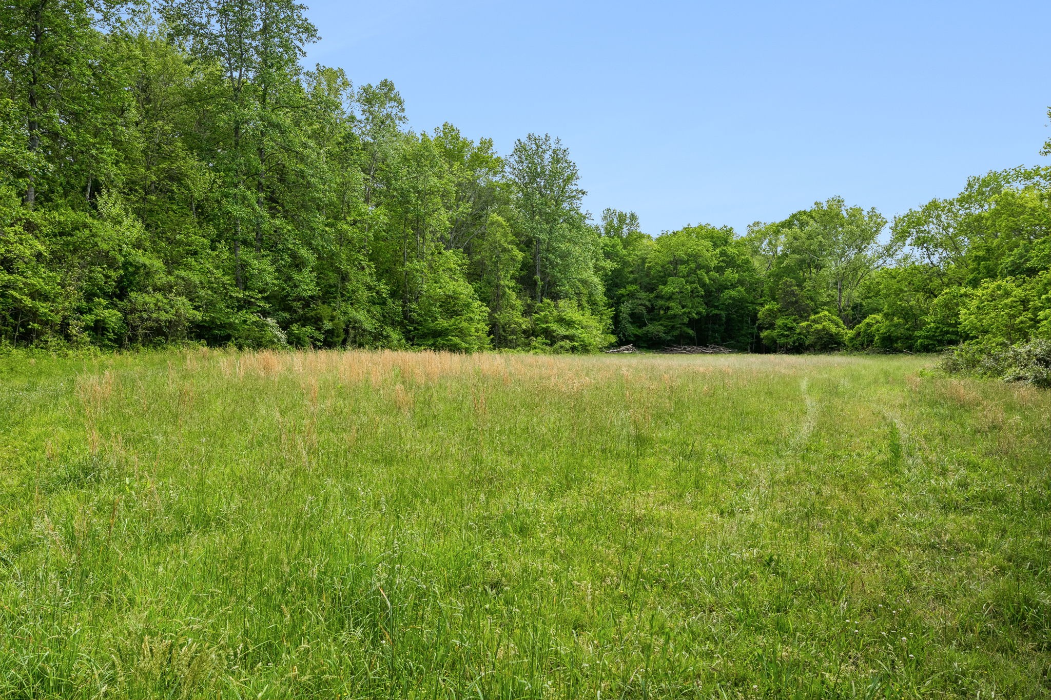 1675 Balthrop Branch Road Dickson, TN 37055 - Photo 29 of 72
