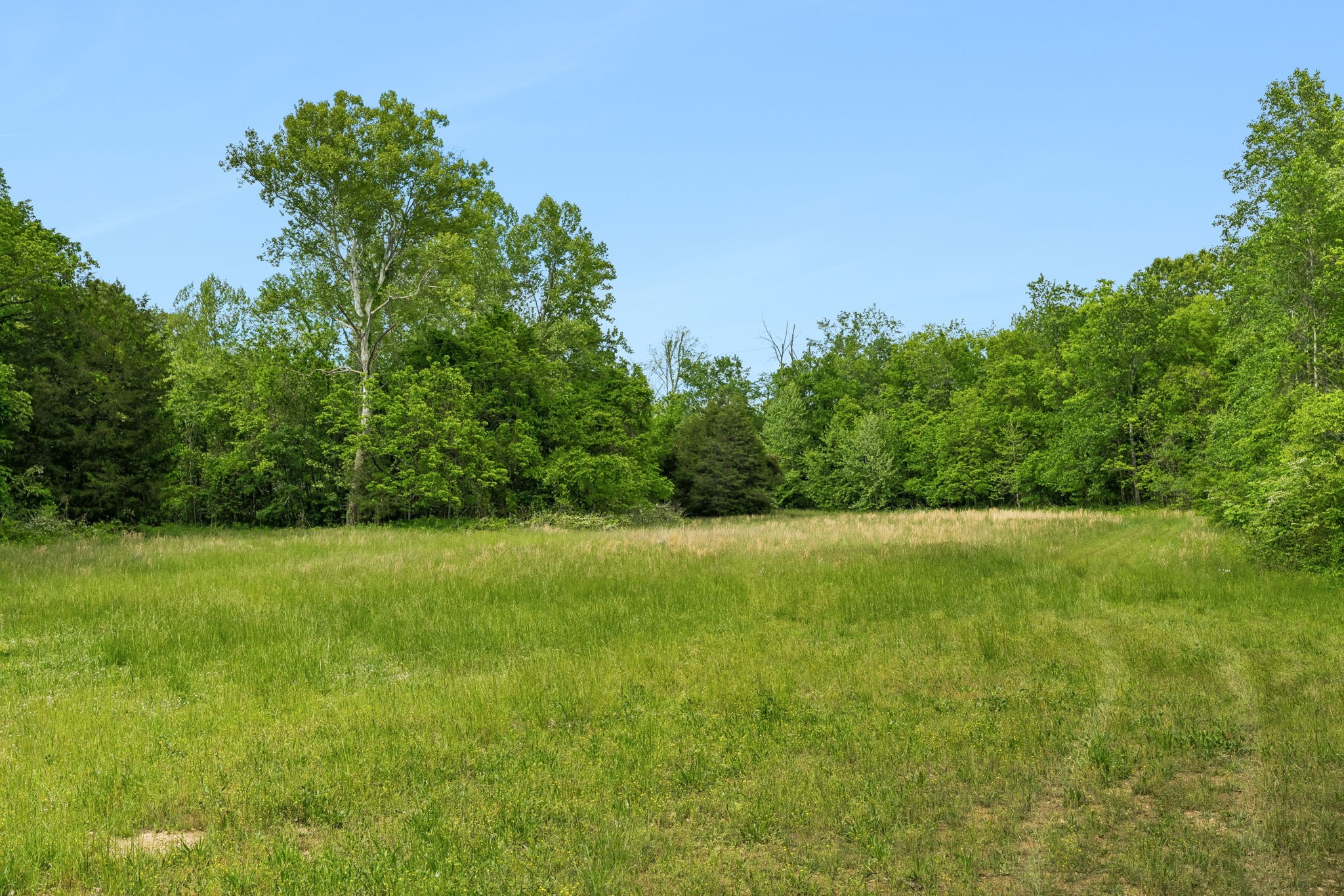 1675 Balthrop Branch Road Dickson, TN 37055 - Photo 30 of 72