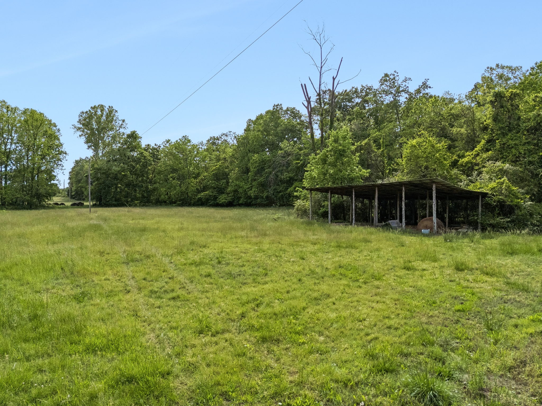 1675 Balthrop Branch Road Dickson, TN 37055 - Photo 35 of 72