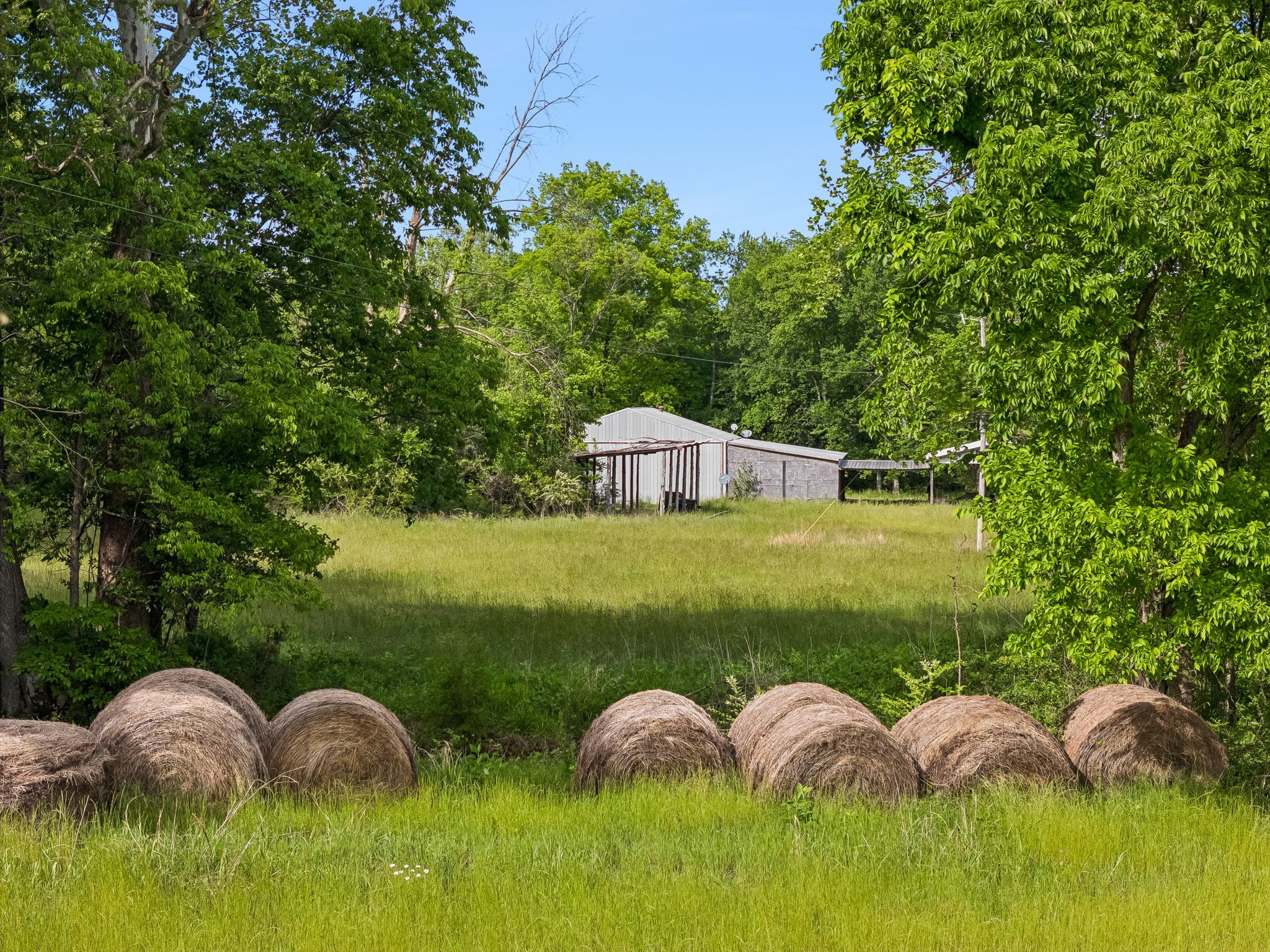 1675 Balthrop Branch Road Dickson, TN 37055 - Photo 46 of 72