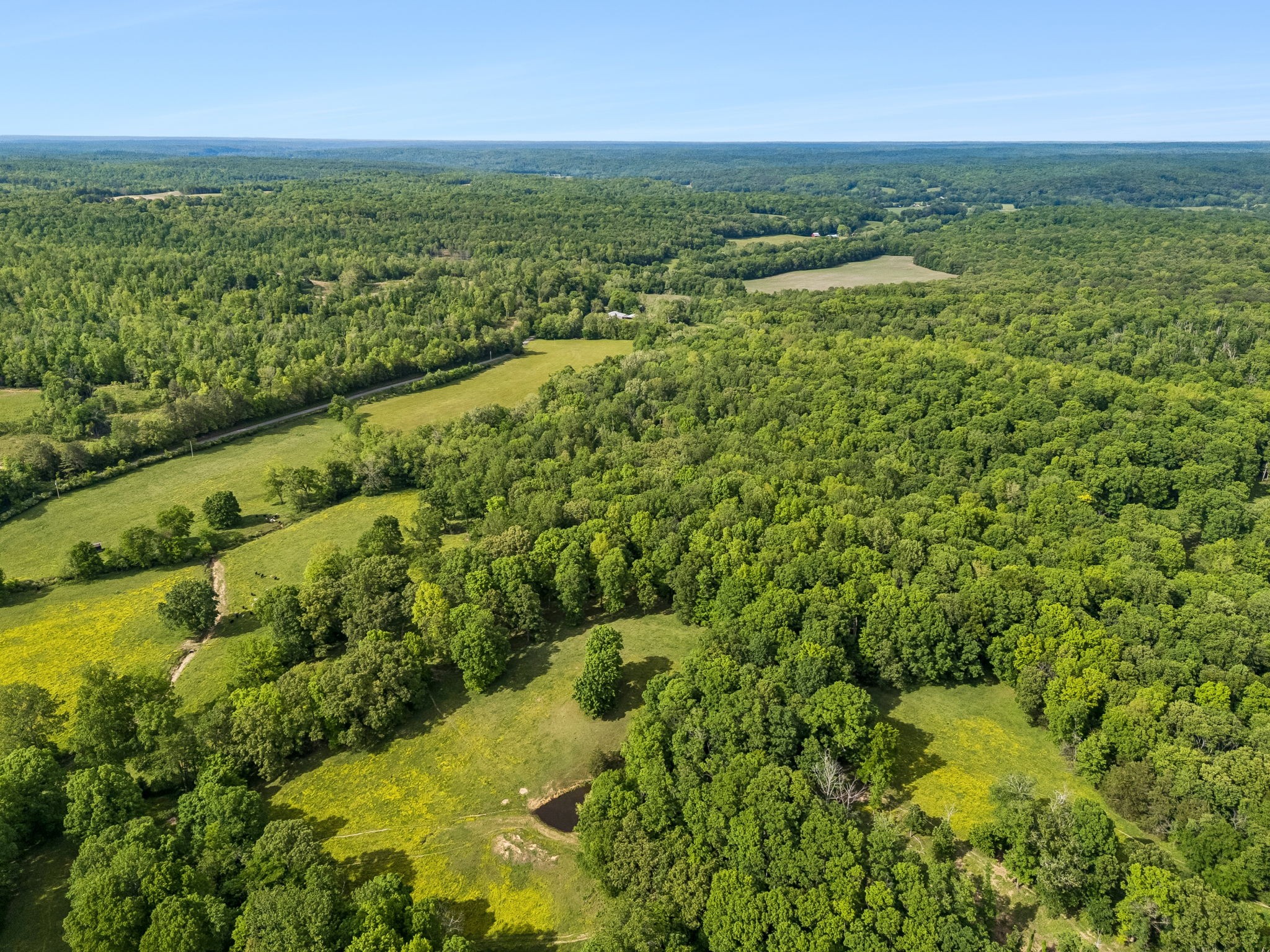 1675 Balthrop Branch Road Dickson, TN 37055 - Photo 49 of 72