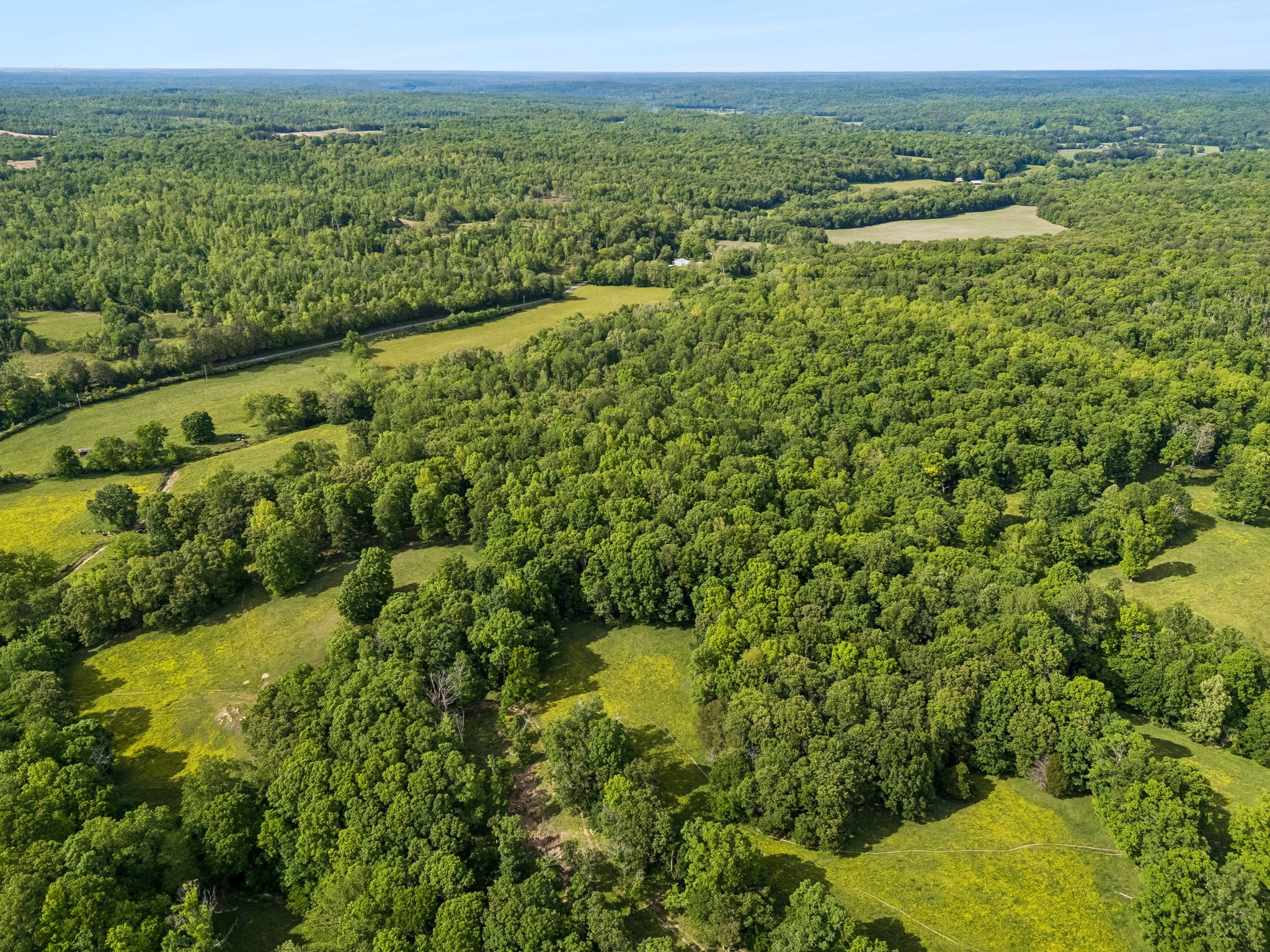 1675 Balthrop Branch Road Dickson, TN 37055 - Photo 51 of 72