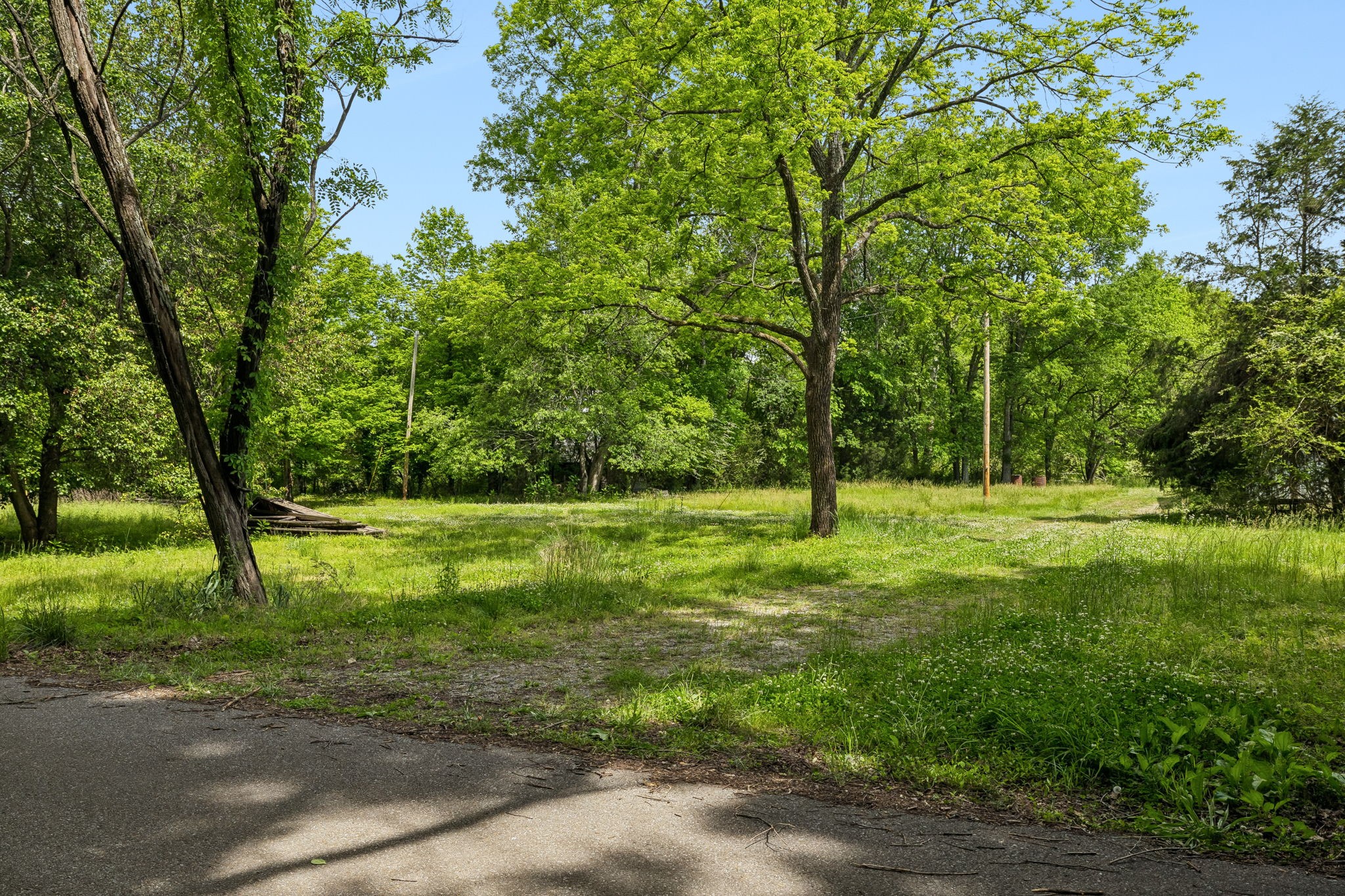 1675 Balthrop Branch Road Dickson, TN 37055 - Photo 6 of 72