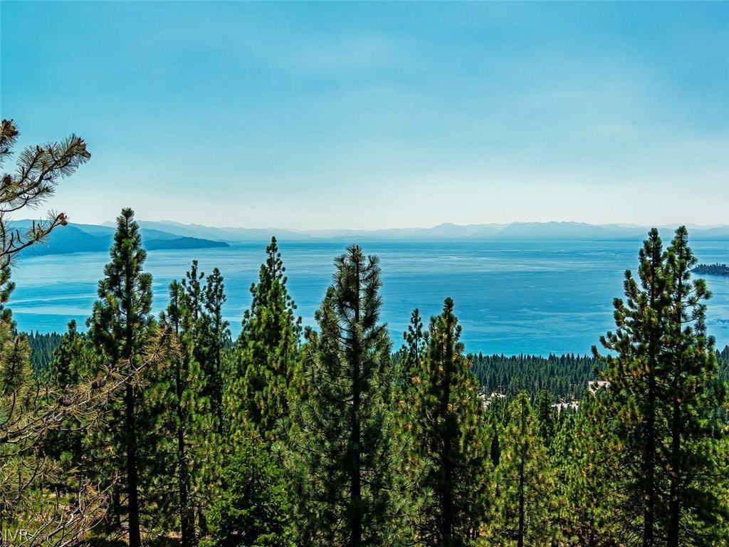 a view of a lake with a city