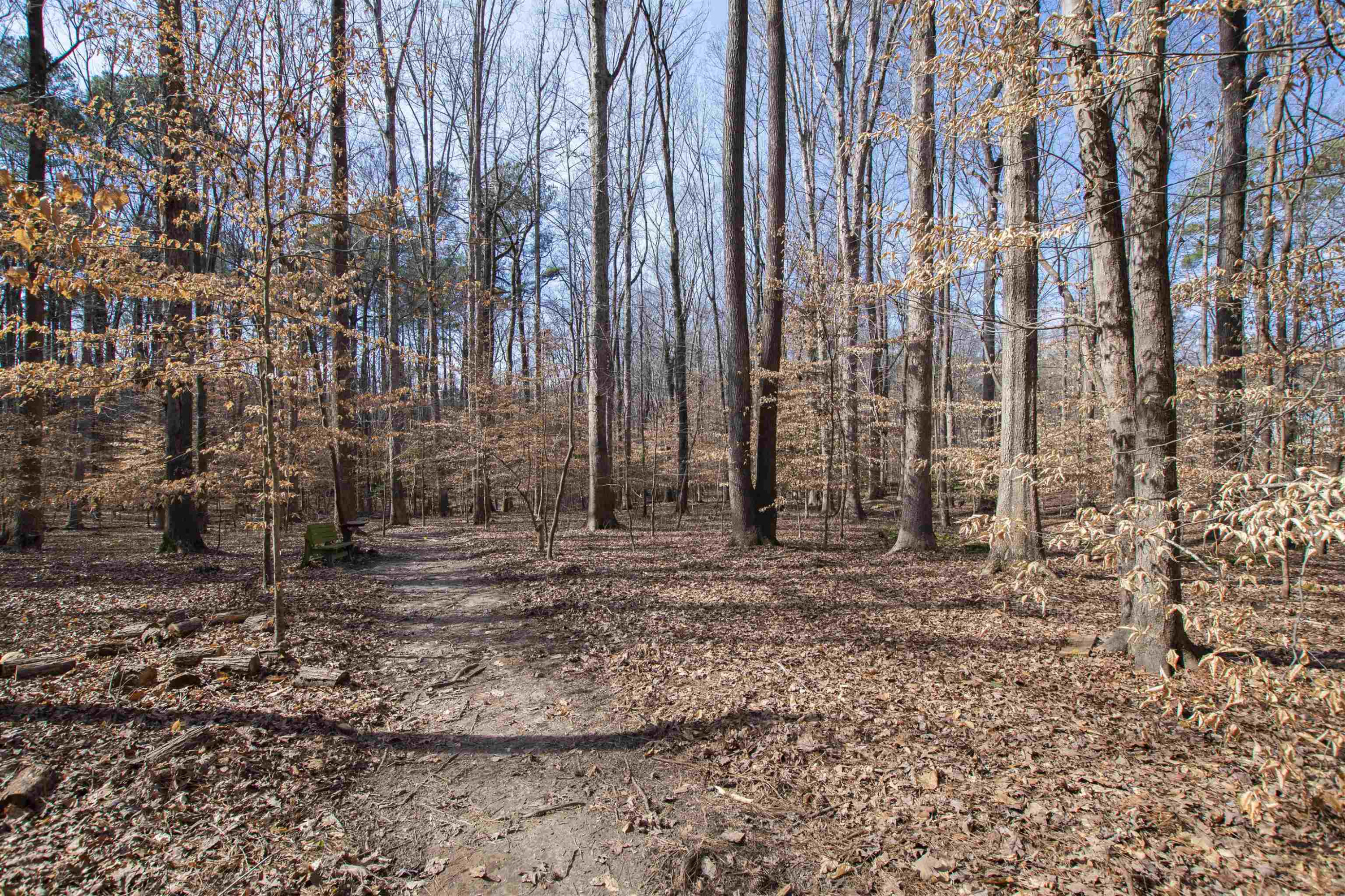 9429 Barton Creek Road Raleigh, NC 27615 - Photo 67 of 78 Photo 67