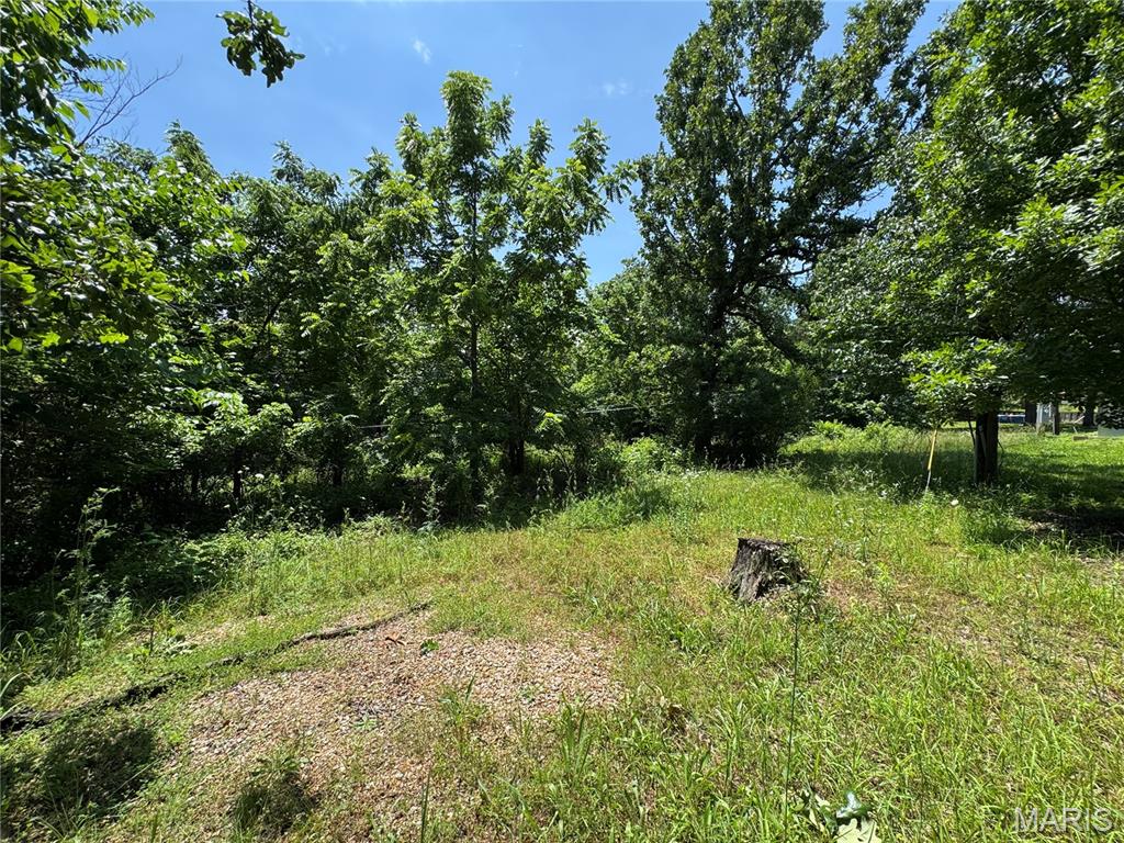 20055 Hartford Road Dixon, MO 65459 - Photo 4 of 6