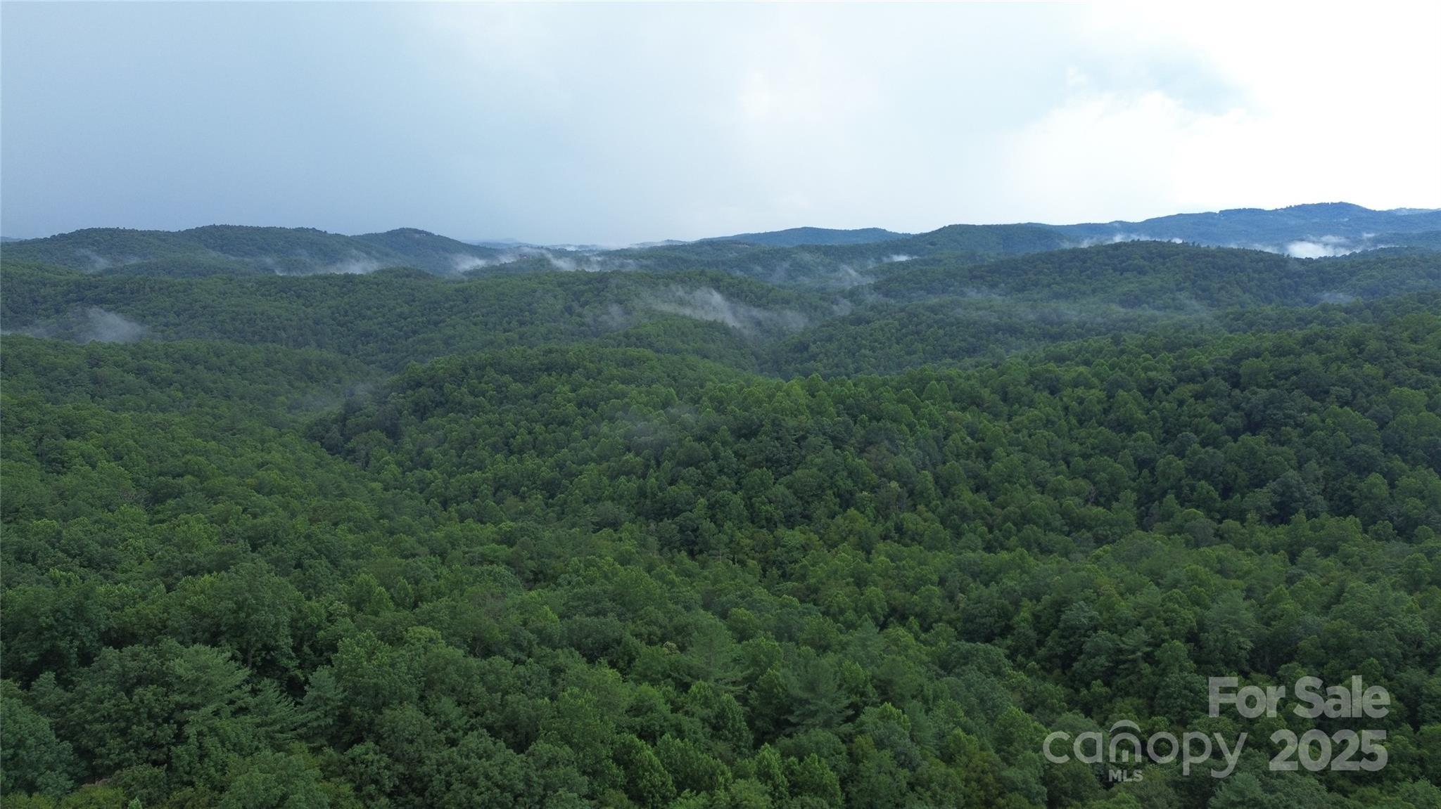 890 White Rock Road Lenoir, NC 28645 - Photo 1 of 14 Gallery Image 1