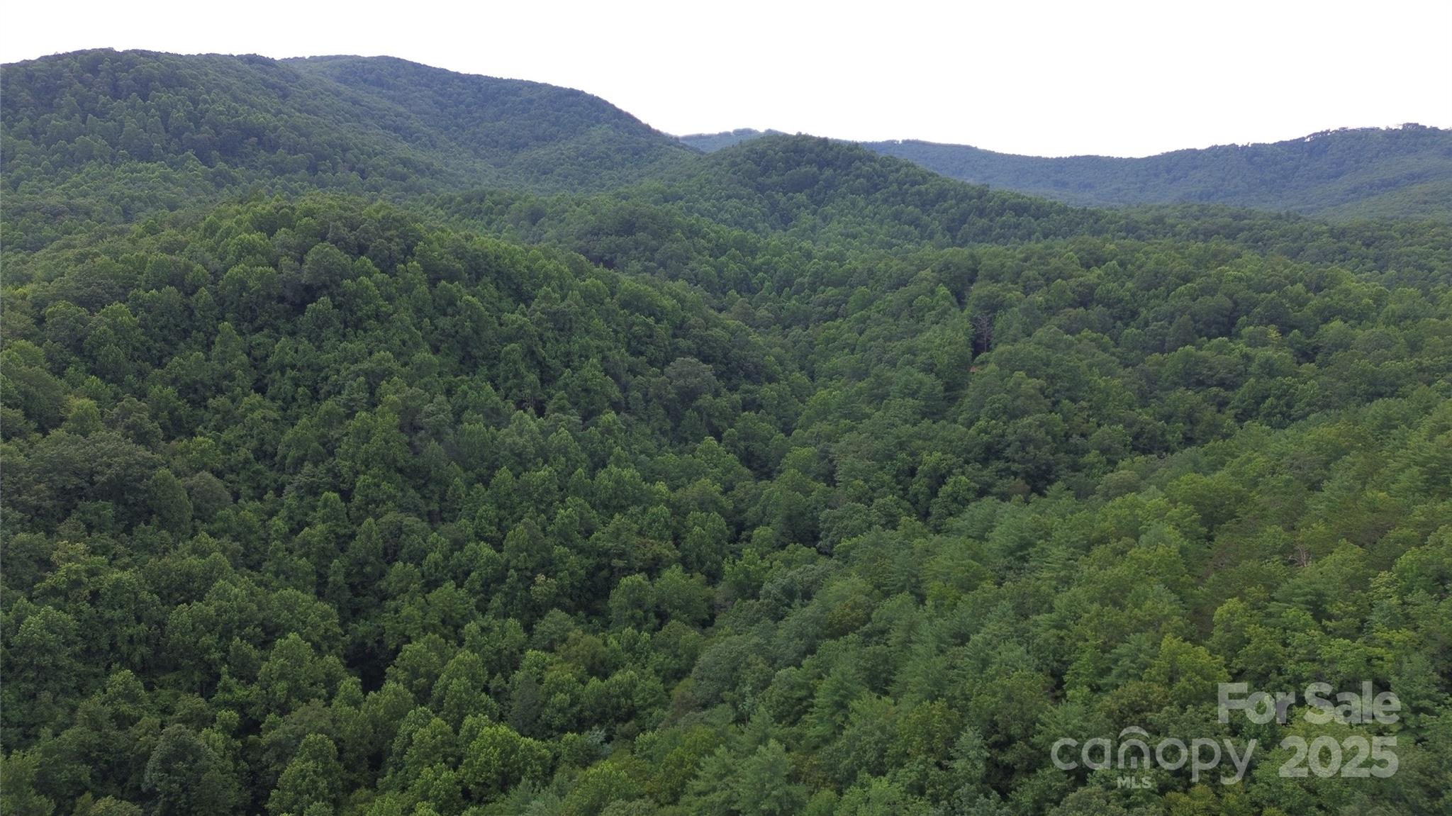 890 White Rock Road Lenoir, NC 28645 - Photo 11 of 14 Gallery Image 11