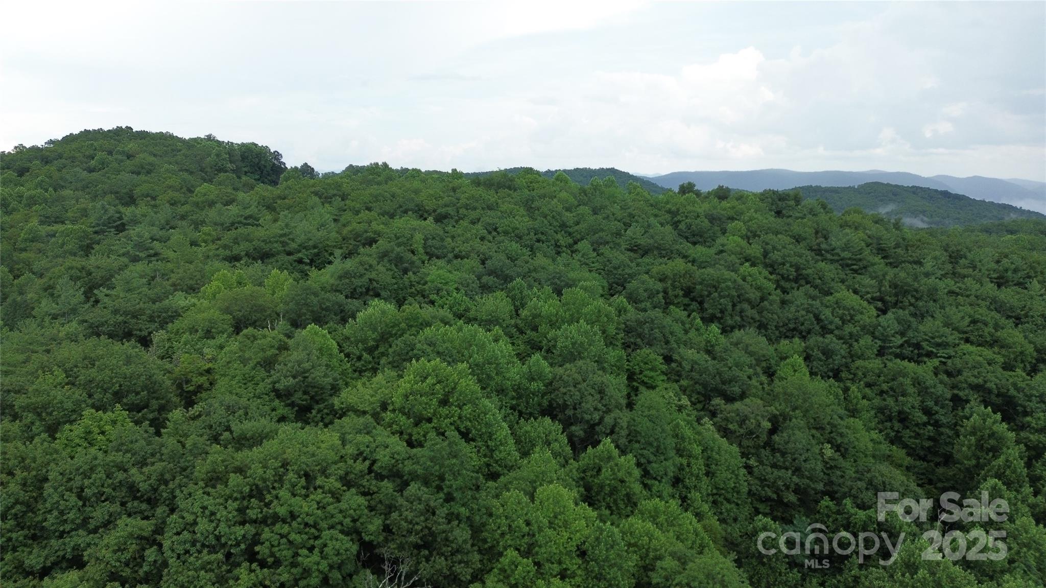 890 White Rock Road Lenoir, NC 28645 - Photo 12 of 14 Gallery Image 12