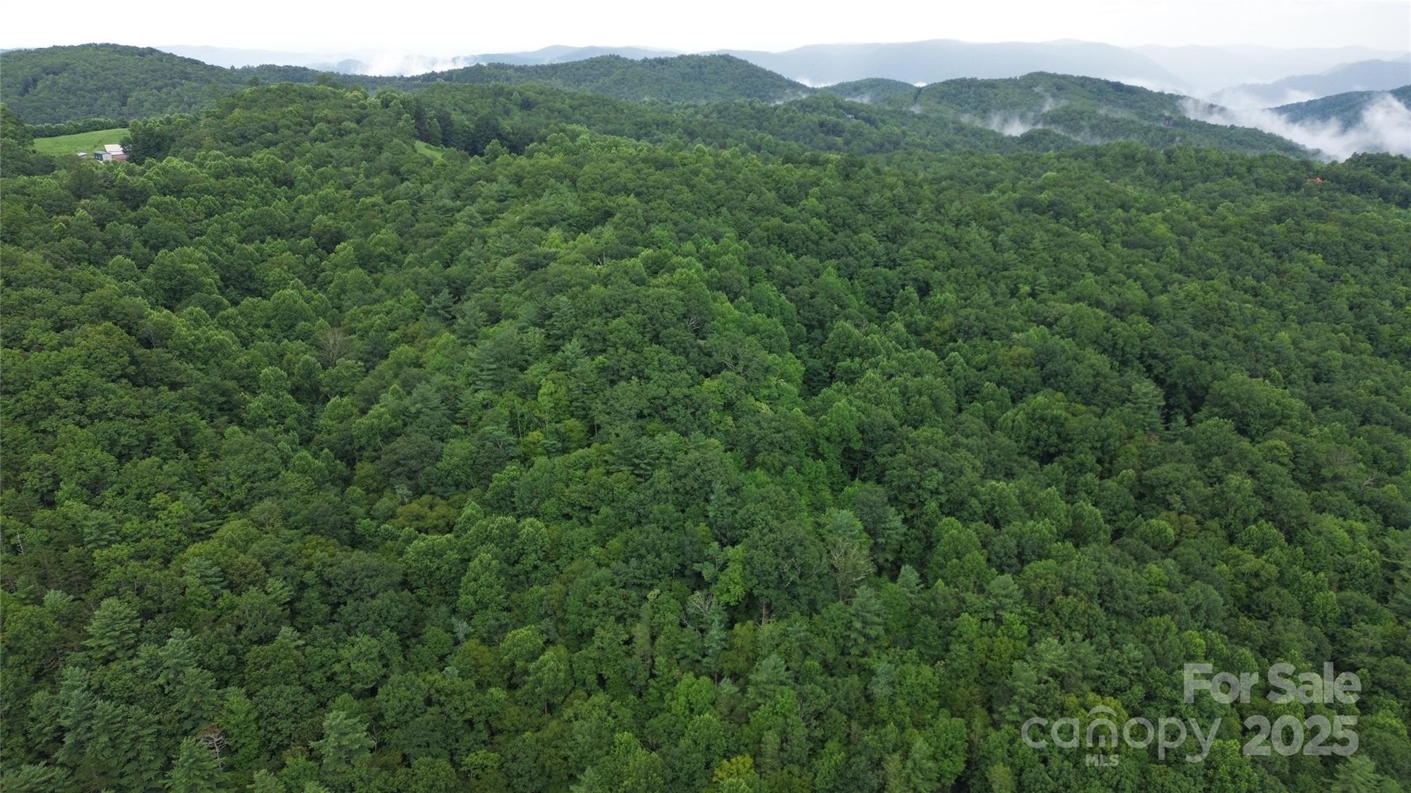 890 White Rock Road Lenoir, NC 28645 - Photo 13 of 14 Gallery Image 13