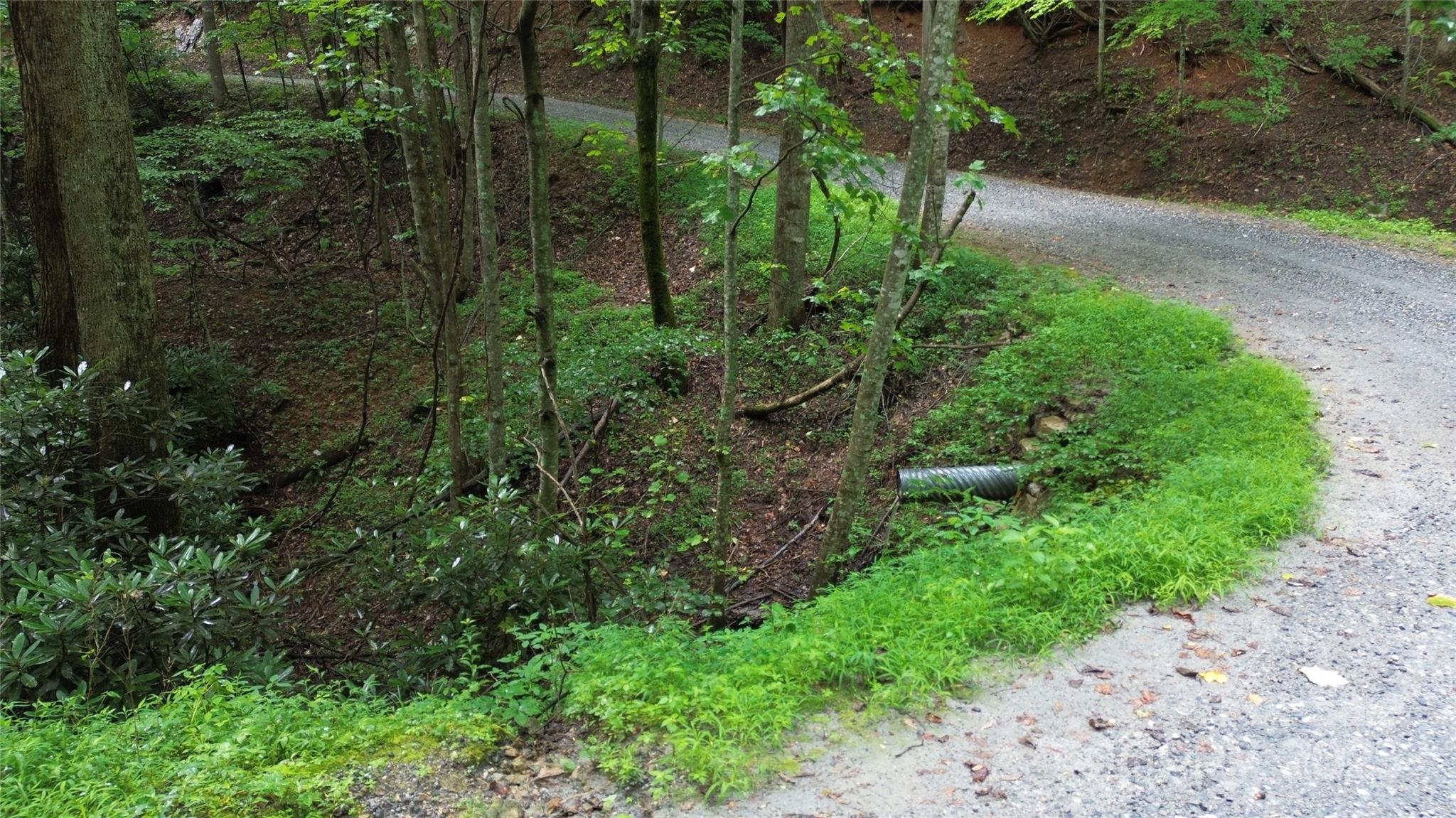 890 White Rock Road Lenoir, NC 28645 - Photo 5 of 14 Gallery Image 5