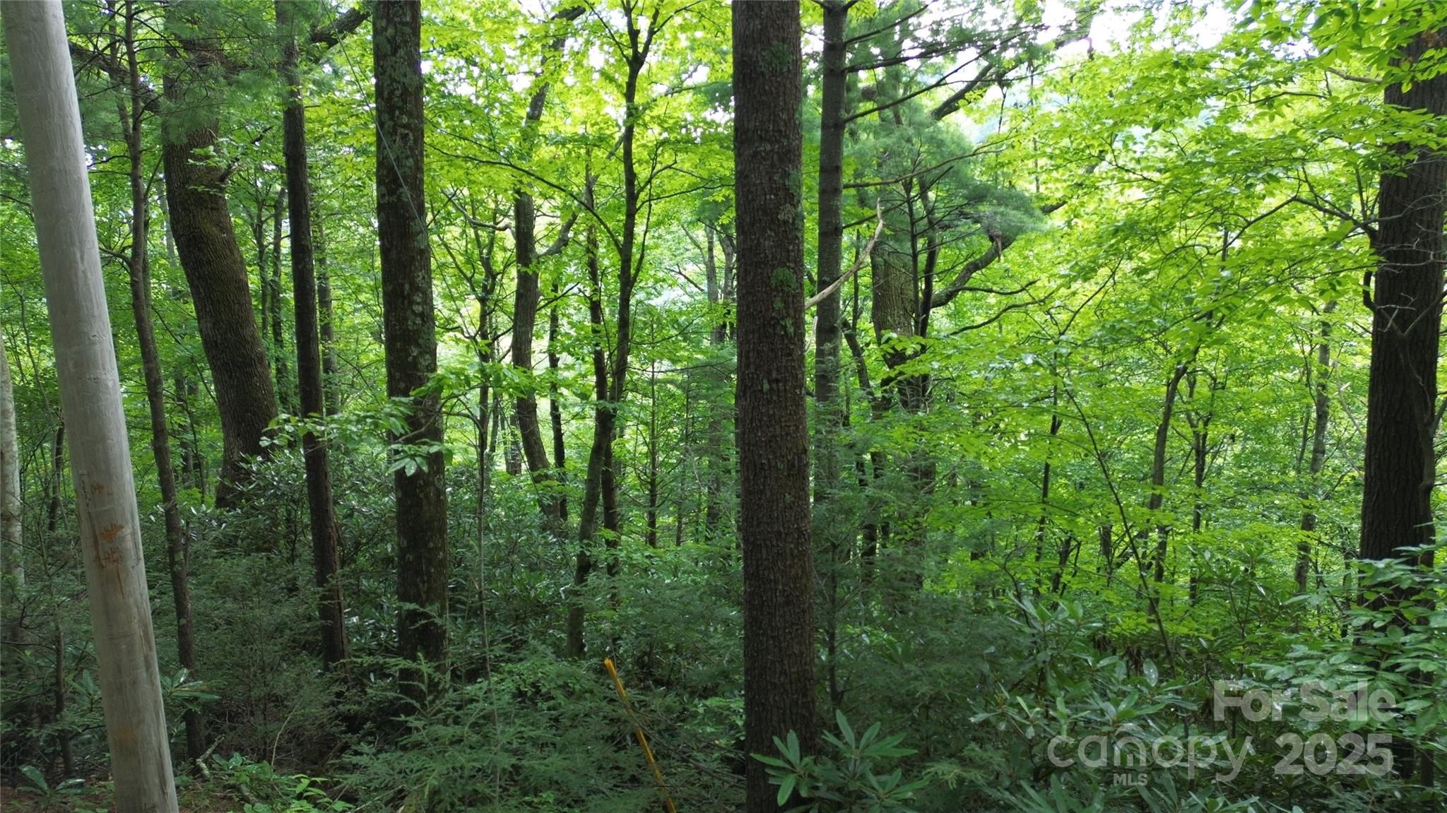 890 White Rock Road Lenoir, NC 28645 - Photo 8 of 14 Gallery Image 8