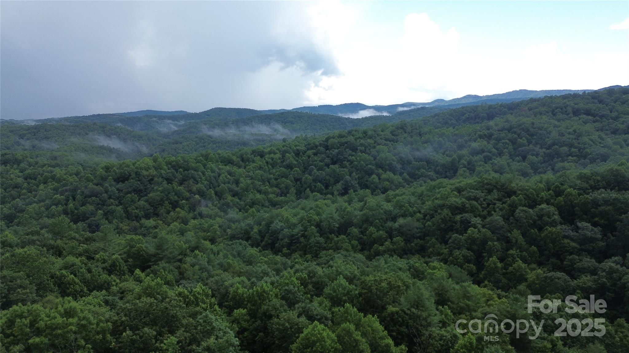 890 White Rock Road Lenoir, NC 28645 - Photo 10 of 14 Gallery Image 10