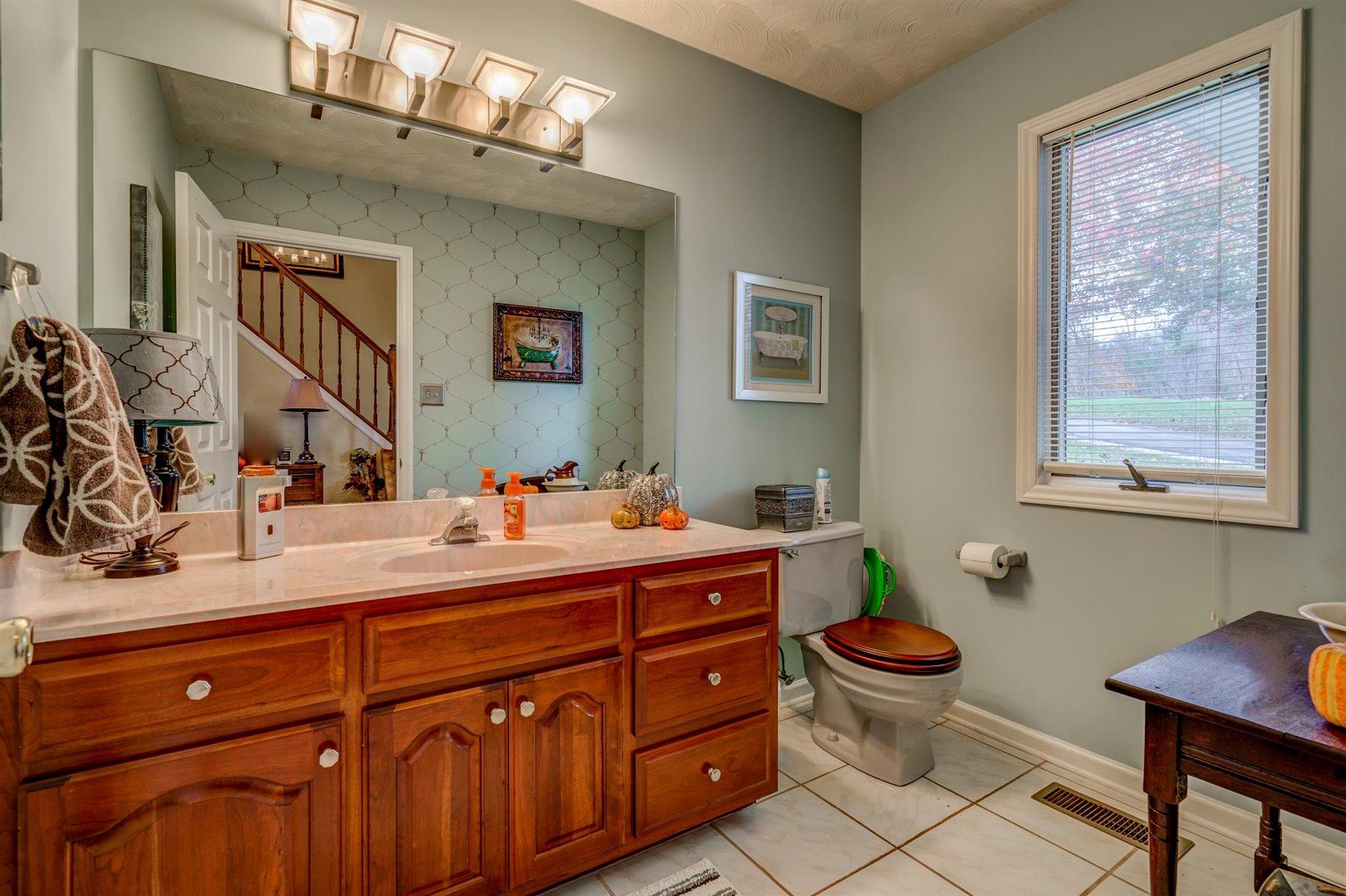 51 Cedar Ridge Circle Union Hall, VA 24176 - Photo 14 of 63 a spacious bathroom with a double vanity sink a large mirror and a toilet