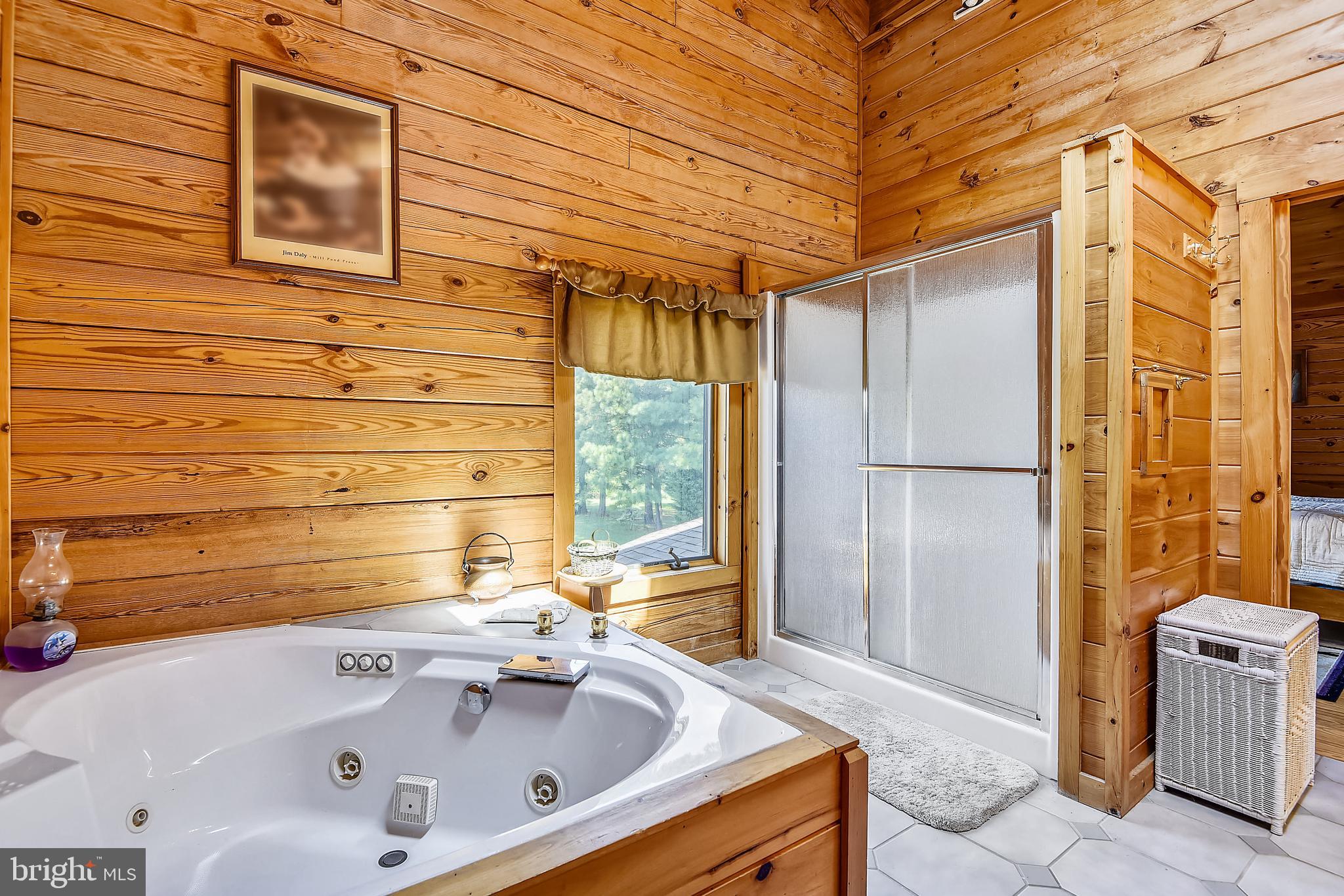 25758 Edgeview Road Royal Oak, MD 21662 - Photo 24 of 29 2-person, jetted tub and separate shower