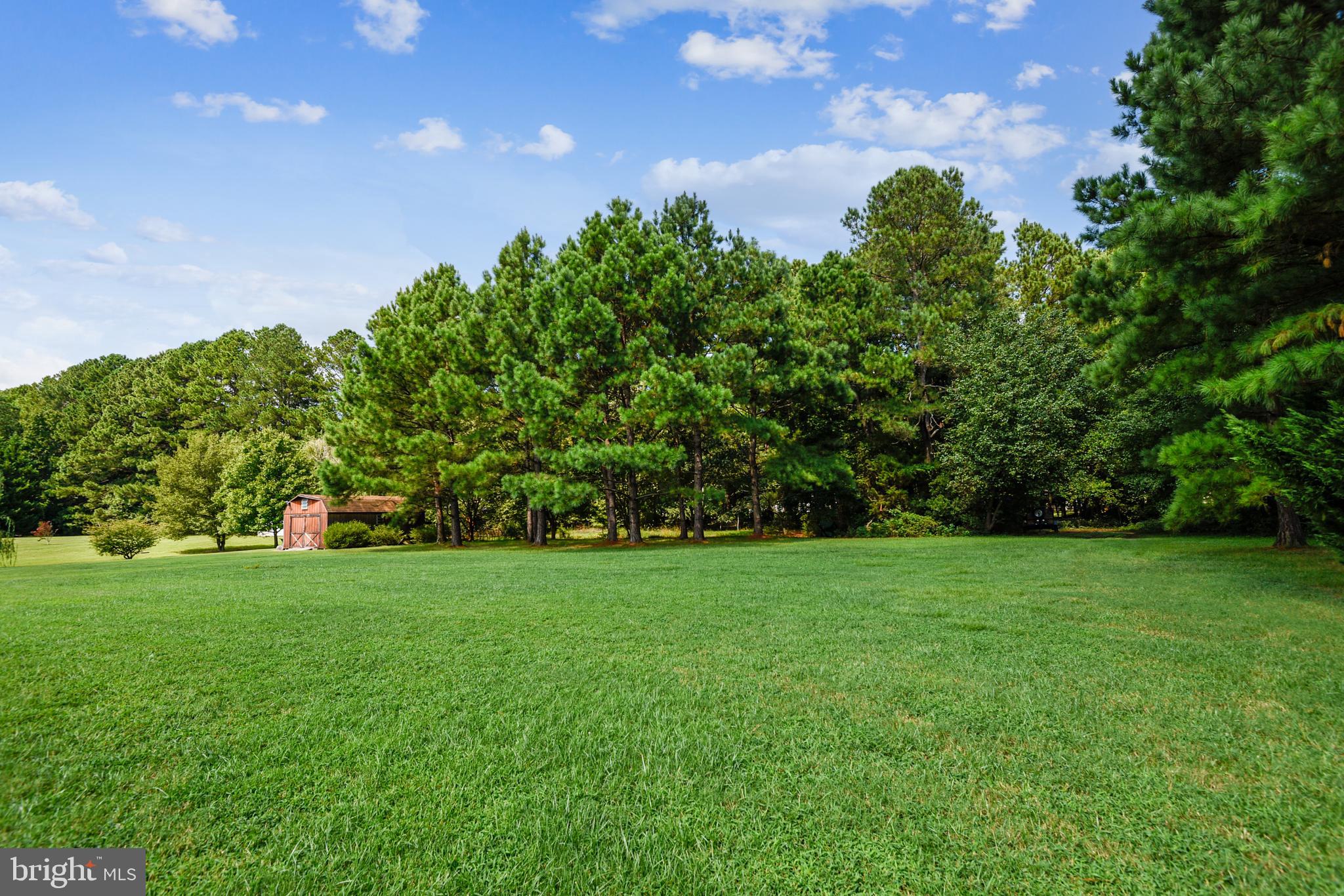25758 Edgeview Road Royal Oak, MD 21662 - Photo 5 of 29 Large, flat lot with 12'x24' shed
