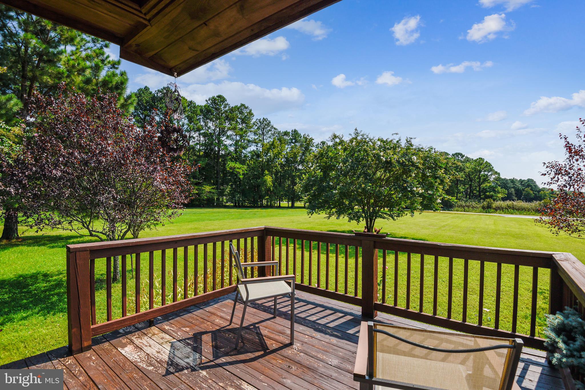 25758 Edgeview Road Royal Oak, MD 21662 - Photo 9 of 29 Beautiful views of the front yard