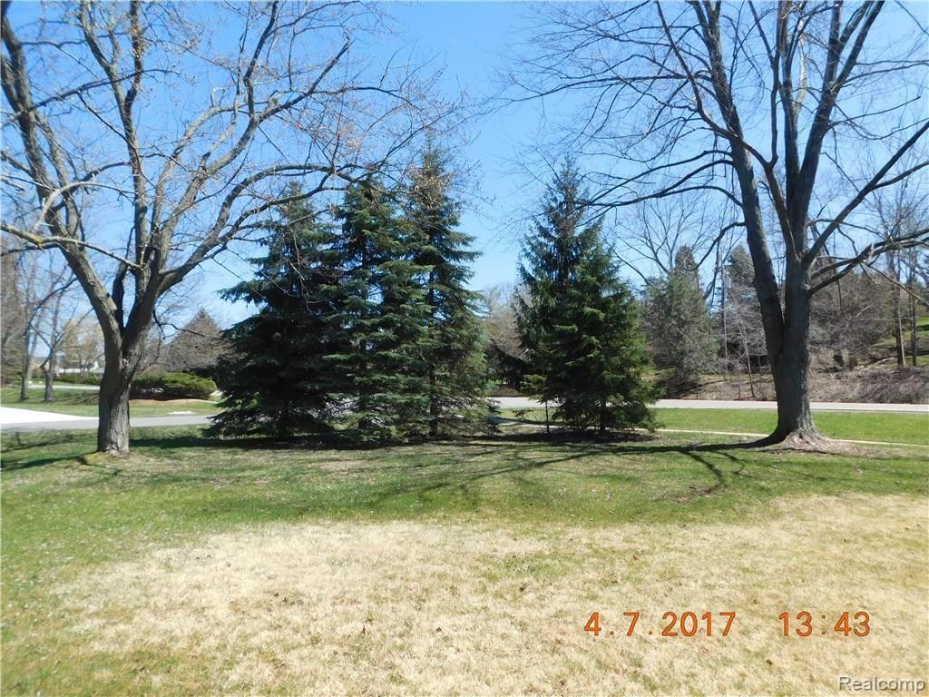 4290 Wendell Road West Bloomfield, MI 48323 - Photo 12 of 50