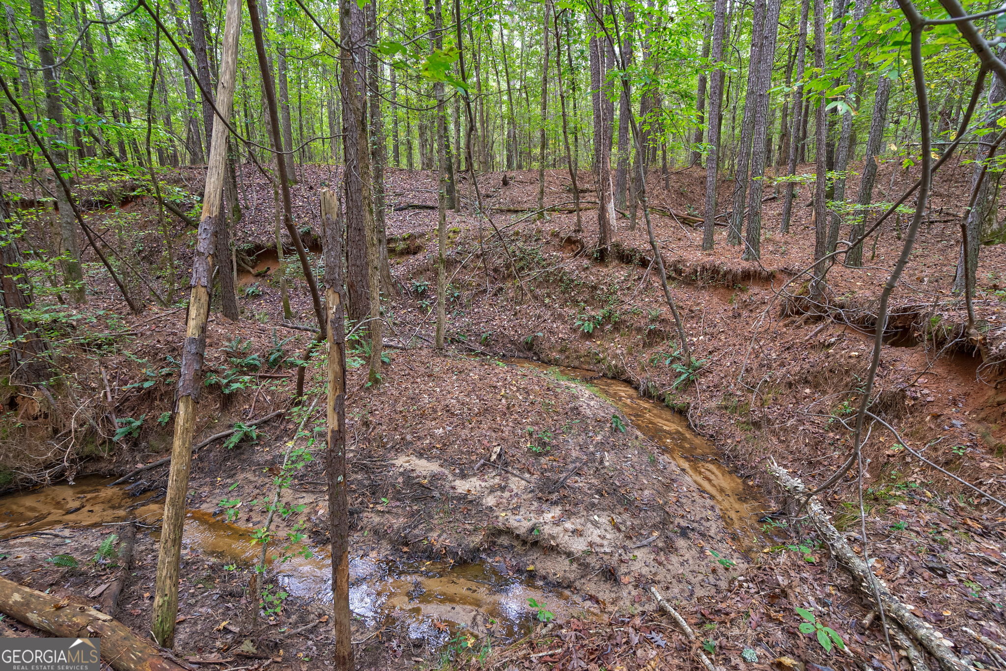 0 Lower Wirebridge Road Stephens, GA 30667 - Photo 14 of 42