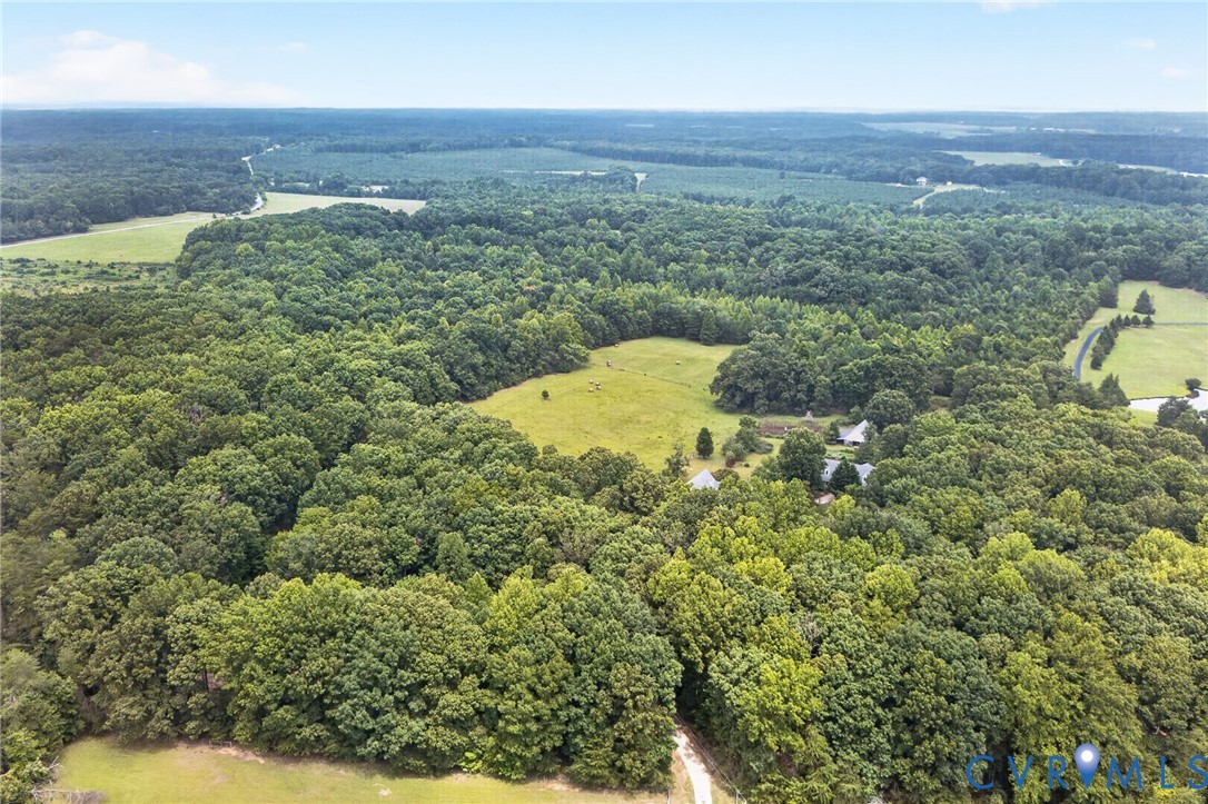 3007 Five Forks Road Pamplin, VA 23958 - Photo 53 of 82 Expansive wooded acreage with a central clearing a
