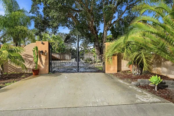 a view of a field with a tree
