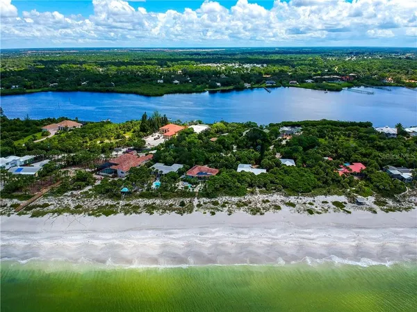 a picture of flowers